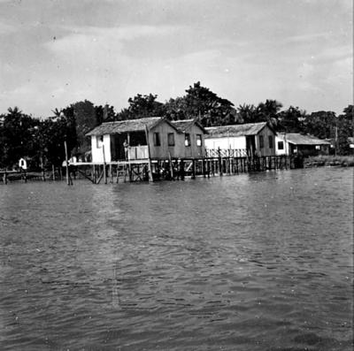 Rio Guamá, palafitas flutuantes