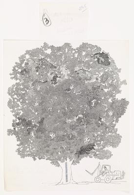 The dimwit man in the wrong place