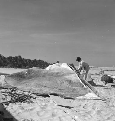 Jangadas e jangadeiros