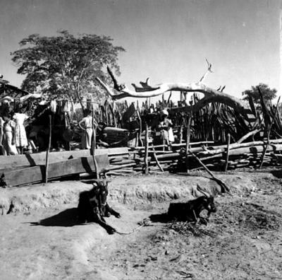 Acampamento de romeiros