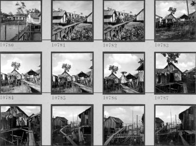 Vila da Barca, palafitas flutuantes