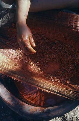 Série Xingu - Homem do povo Mehinako prepara a pasta de urucum