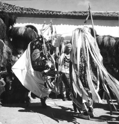 Bumba meu boi, festa popular