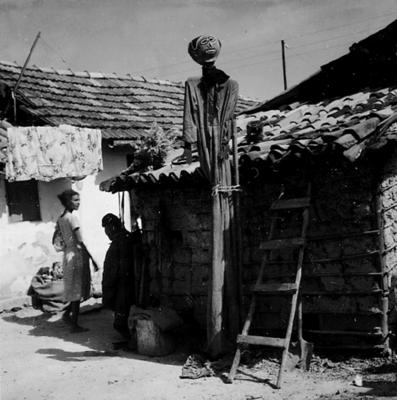 Bumba Meu Boi, festa popular