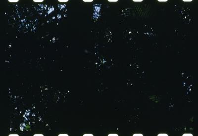 Projeto "Navegar Amazônia"