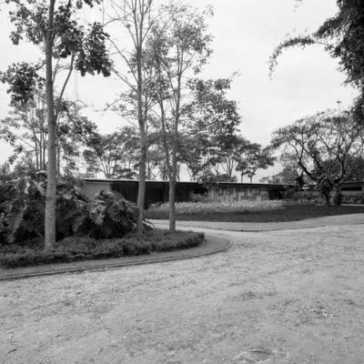 Residência de Olivo Gomes, projeto dos arquitetos Rino Levi, Roberto Cerqueira César e Burle Marx