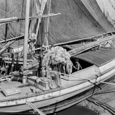 Homens descarregando juta