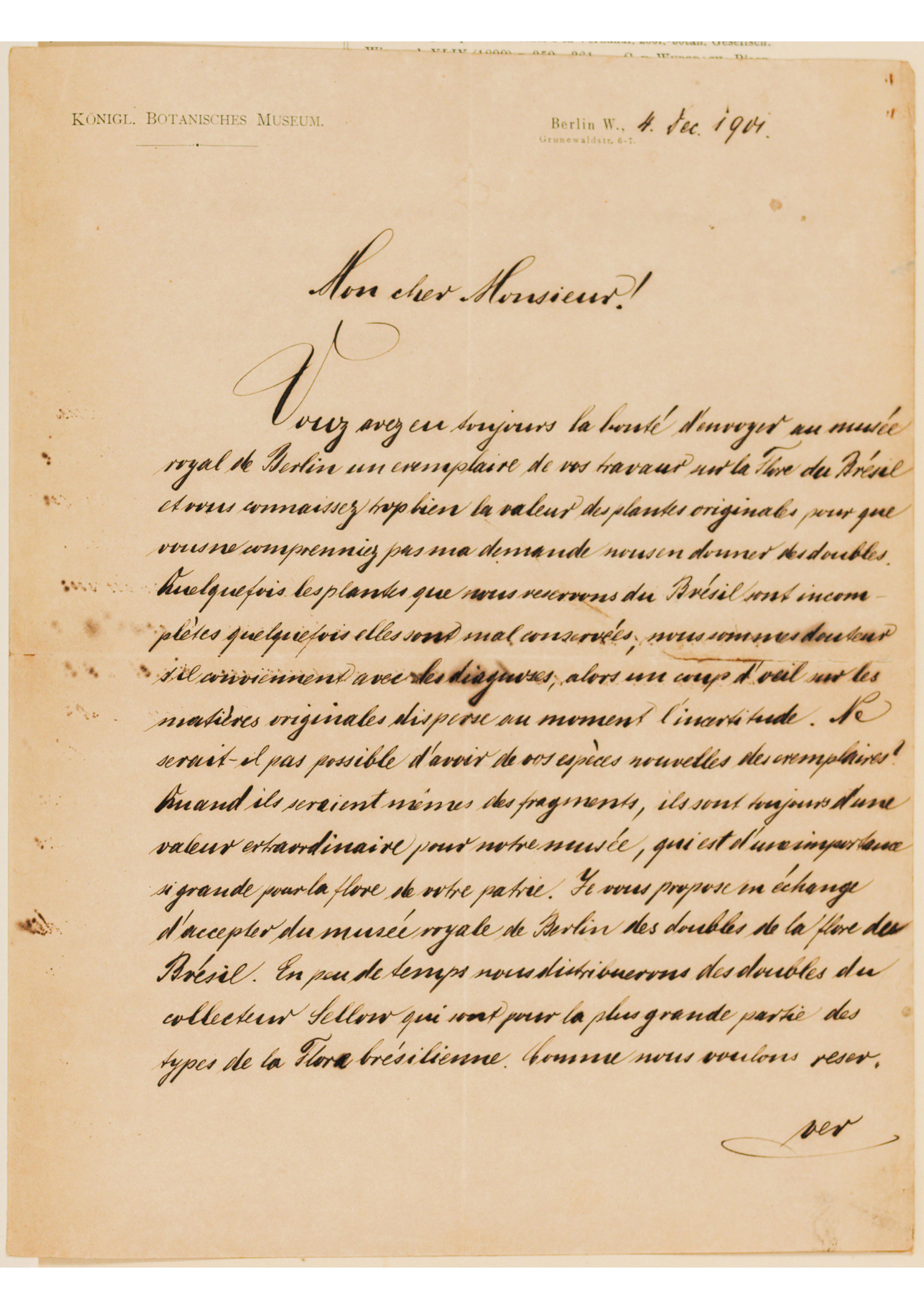 [Carta de Adolphus Engler a João Barbosa Rodrigues, escrita de Berlim Ocidental em 4 de dezembro de 1901]