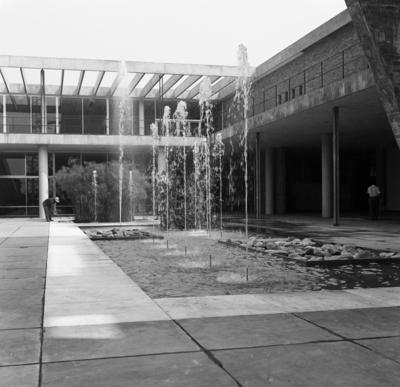 Museu de Arte Moderna - MAM