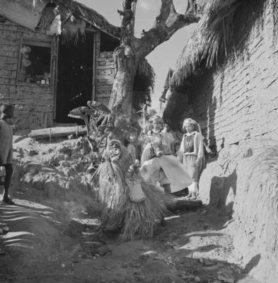 Bumba meu boi, festa popular