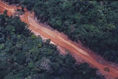 Vista aérea de estrada em meio à floresta