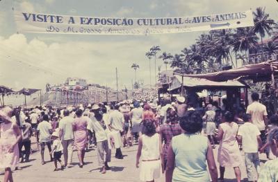 Bloco carnavalesco Renovação do Pau Miúdo