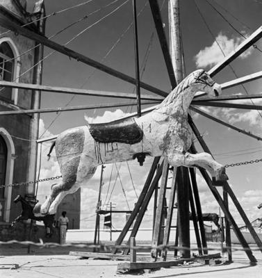 Cavalos de carrossel na margem do rio São Francisco