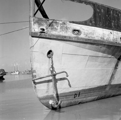 Vila da Barca, barcos