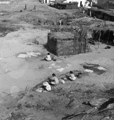 Canindé, casebres de sapê