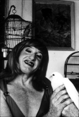 Série Transformistas