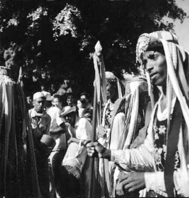 Bumba meu boi, festa popular