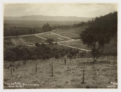 Fazenda da prefeitura em Guaratiba, atual Fazenda Modelo