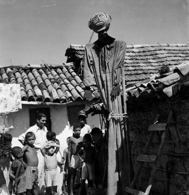 Bumba Meu Boi, festa popular