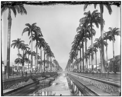 Vista do Canal do Mangue