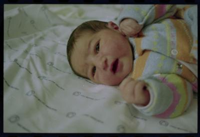 Nascimento da filha de Laís Bodanzky e Luiz Bolognesi