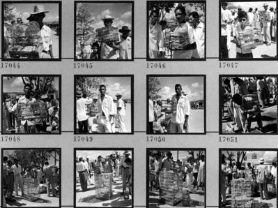 Feira dos Passarinhos