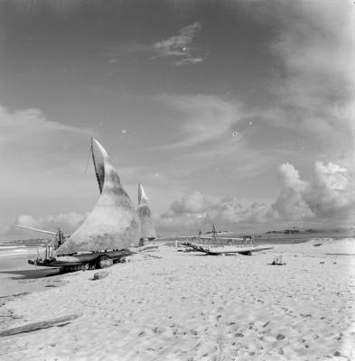 Jangadas e jangadeiros