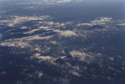 Vista aérea para floresta