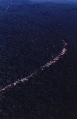 Vista aérea de estrada em meio à floresta