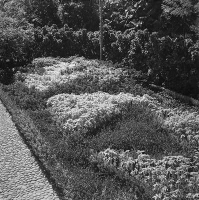 Residência de Walther Moreira Salles, projeto de Olavo Redig de Campos