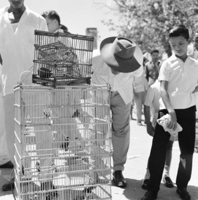 Feira dos Passarinhos