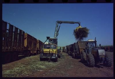 Produção de filme institucional sobre usinas de açúcar