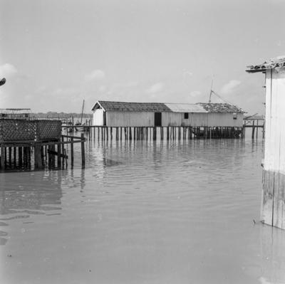 Rio Guamá, palafitas flutuantes