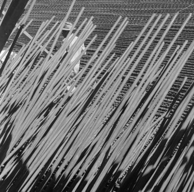 Congresso Nacional em construção