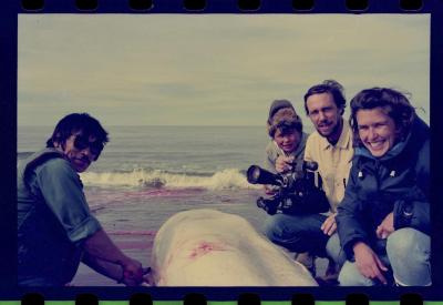 Viagem com a bióloga Livia Monami para registrar a caça da baleia branca