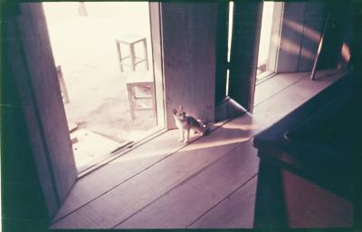 Filmagens de "Iracema: uma transa amazônica", com direção de Jorge Bodanzky e Orlando Senna