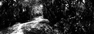 Parque da Cantareira