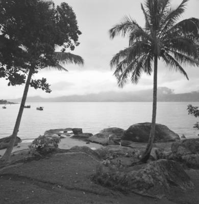 Ilha de São Sebastião