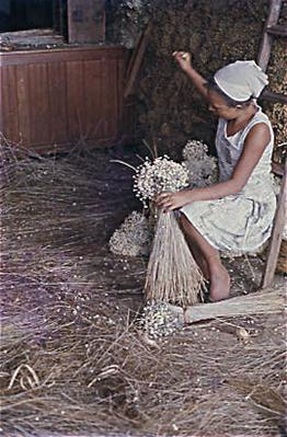 Série Minas - População local