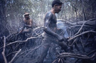 Série Caranguejeiras - Catadores de caranguejo