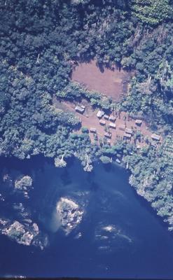 Vista aérea para casas em meio à floresta
