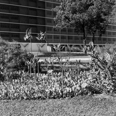 Hospital SulAmérica, atual Hospital Federal da Lagoa, projeto de Oscar Niemeyer, Helio Uchoa e Burle Marx