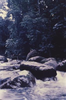 Expedição Pico da Neblina