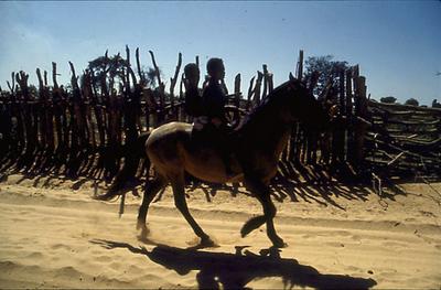 Série Rio São Francisco