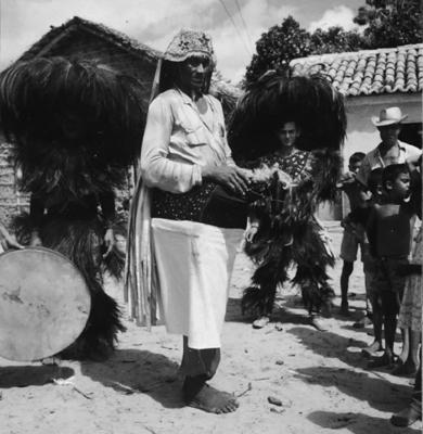 Bumba meu boi, festa popular