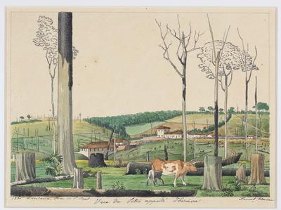 Vista do sítio chamado Ibicaba