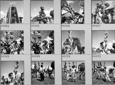 Bumba meu boi, festa popular