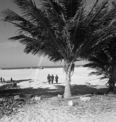 Jangadas e jangadeiros