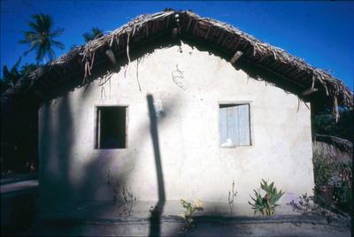 Série Caranguejeiras