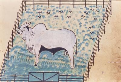 Flagrante de rua - placas, letreiros e cartazes